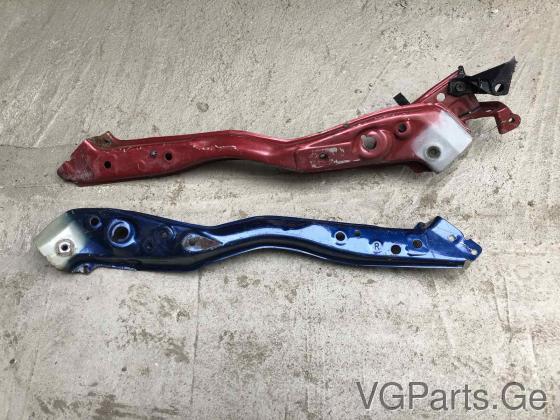 ფარის აჩკები