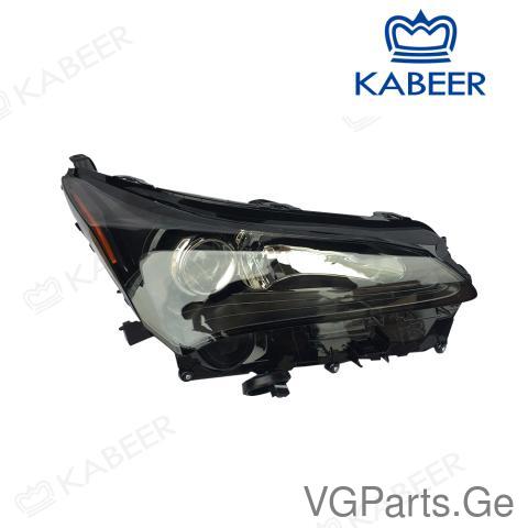 ფარის ყური